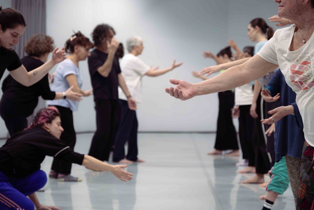 Caniche con vozal. Manual de instrucciones para bailar.